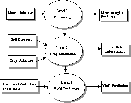 Growth Monitoring